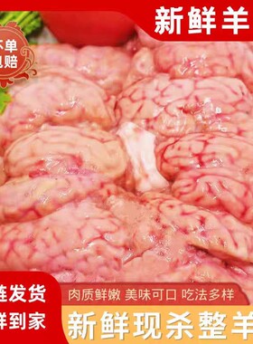 新鲜羊脑花脑髓羊肉清真羊脑冷冻冰鲜羊肉汤火锅食材烧烤纯羊脑