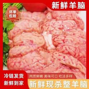 新鲜羊脑花脑髓羊肉清真羊脑冷冻冰鲜羊肉汤火锅食材烧烤纯羊脑