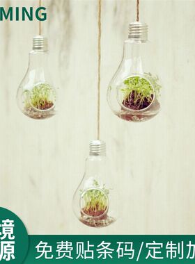 欧式创意灯泡悬挂透明玻璃花瓶摆件水培花器时尚家居饰品