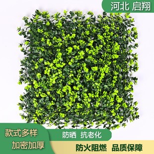 真大尤加+松枝植物墙装饰假草坪加密米兰尤加利塑料草坪商场