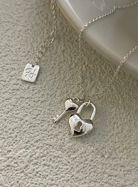 925纯银蛇骨链女气质简约项链