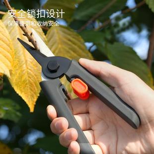 吉米家居修枝剪园艺直剪树枝专用剪刀园林修剪果树修枝花艺修花剪