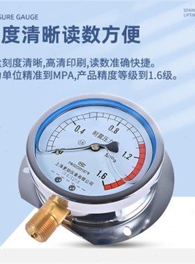 更劲仪表 YN100T船用耐震压力表 气压液压径向带后边 1.6Mpa