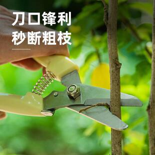 剪枝剪刀修枝剪园艺剪子园林花艺修剪树枝专用果树剪粗大花剪工具