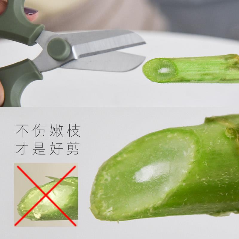 德国精工花剪园艺剪刀家
