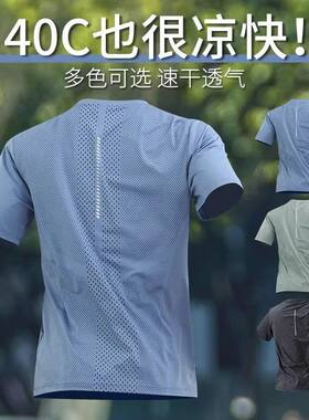 QuickDrySportTeeMenBreathable