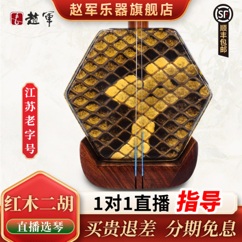 赵军红木二胡乐器胡琴零基础名牌