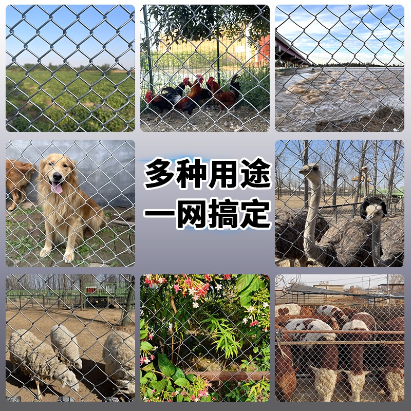 镀锌铁丝网养殖防护网围栏栅栏户外钢丝网果园鱼塘勾花网养鸡铁网