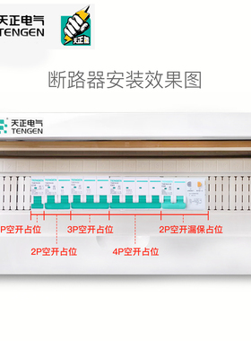 天正电气TGB1N空气开关16A32A断路器1P2P家用3P20A63A4P空开DZ47