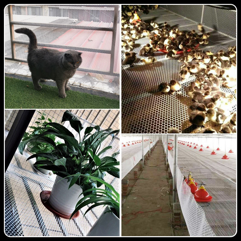 阳台防护网防掉防漏封窗户安全包围网防坠防盗窗垫板塑料网格养殖