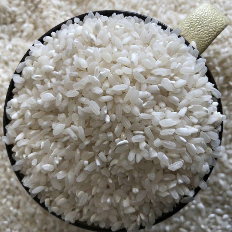 新陈年早稻米早籼米肠粉米皮发糕米线糙米不粘不糯早谷米25kg50斤,工业油品/胶粘/化学/实验室用品,实验室漏斗,淘宝优惠券,粉丝福利购,淘宝优惠卷