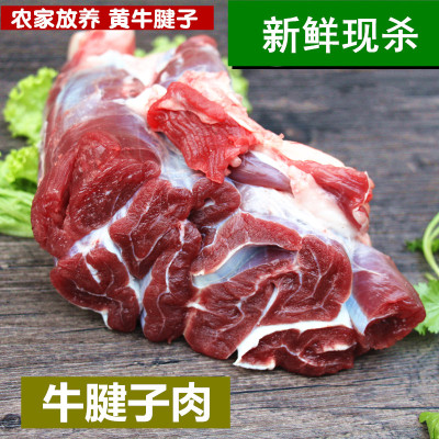 新鲜牛腱子黄牛肉