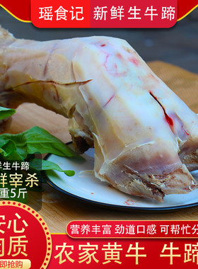 新鲜现杀带骨牛蹄子5斤重量