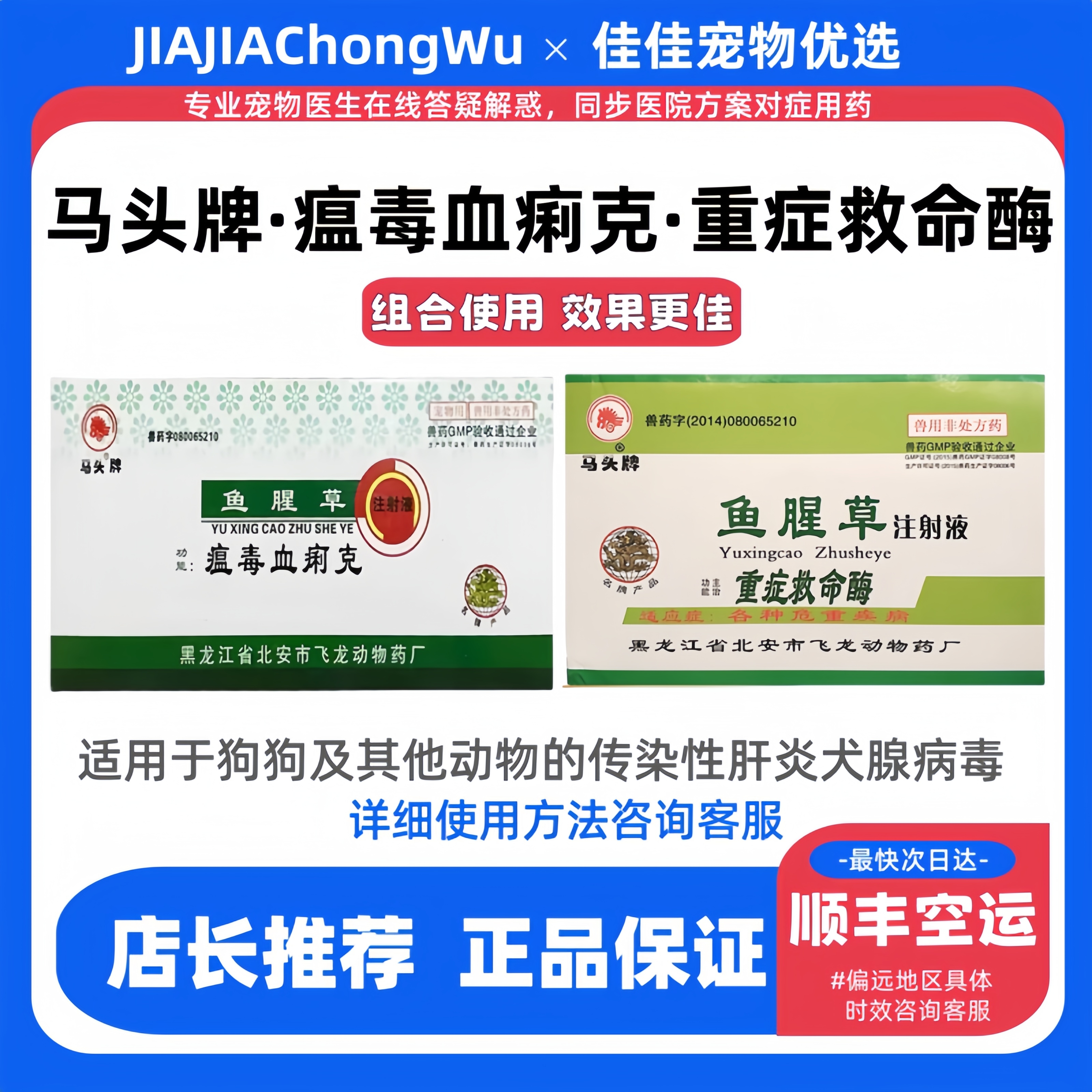 马头软便窝热脓鼻液犬腺病毒脑炎