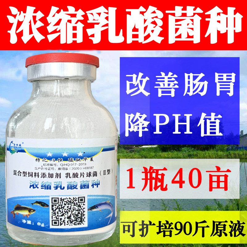 乳酸菌种水产养殖净水降PH值鱼虾蟹养殖肠炎白便专用浓缩乳酸菌种
