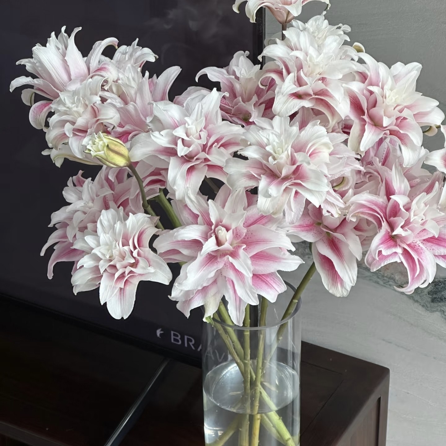 【云舍臻选】上海种业伊莎贝拉重瓣百合任意组2单或以上冷链包邮,鲜花速递/花卉仿真/绿植园艺,花材,淘宝优惠券,粉丝福利购,淘宝优惠卷