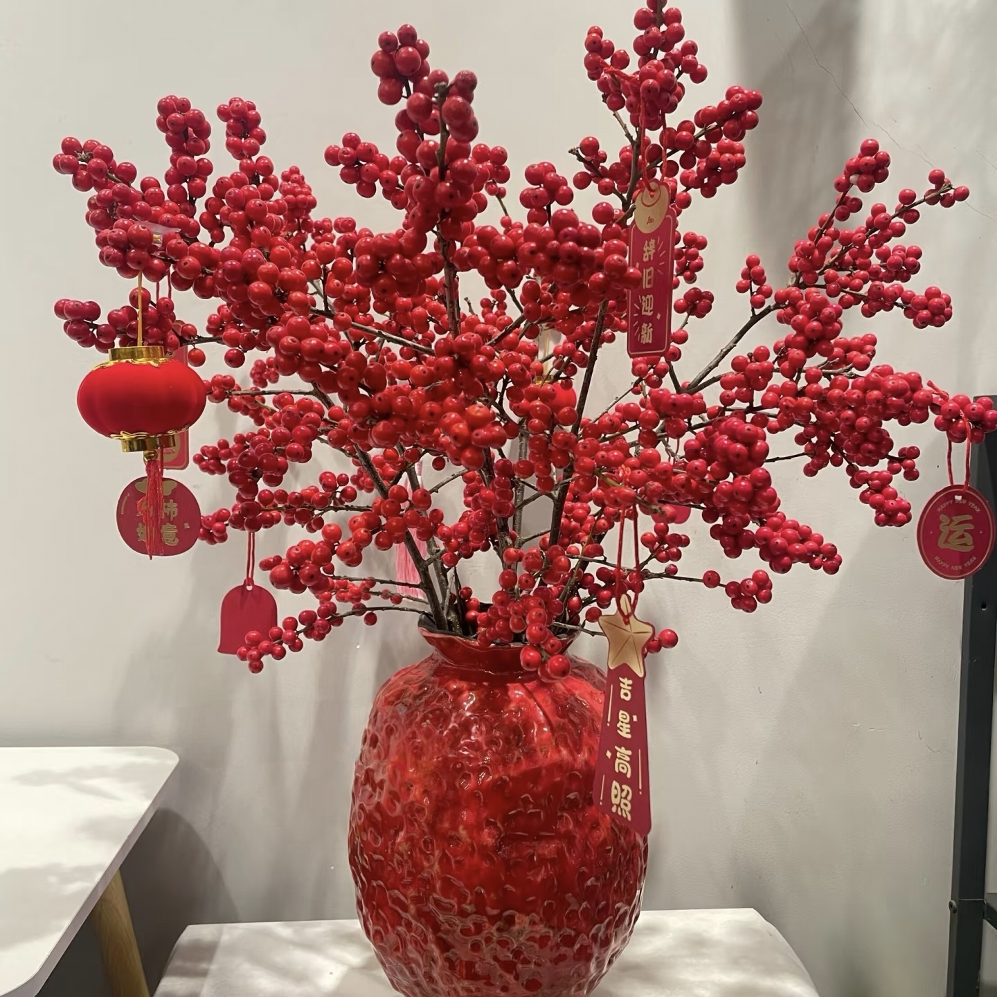 【云南高原北美冬青】70A北美冬青5支 一单包邮 不参与拼单