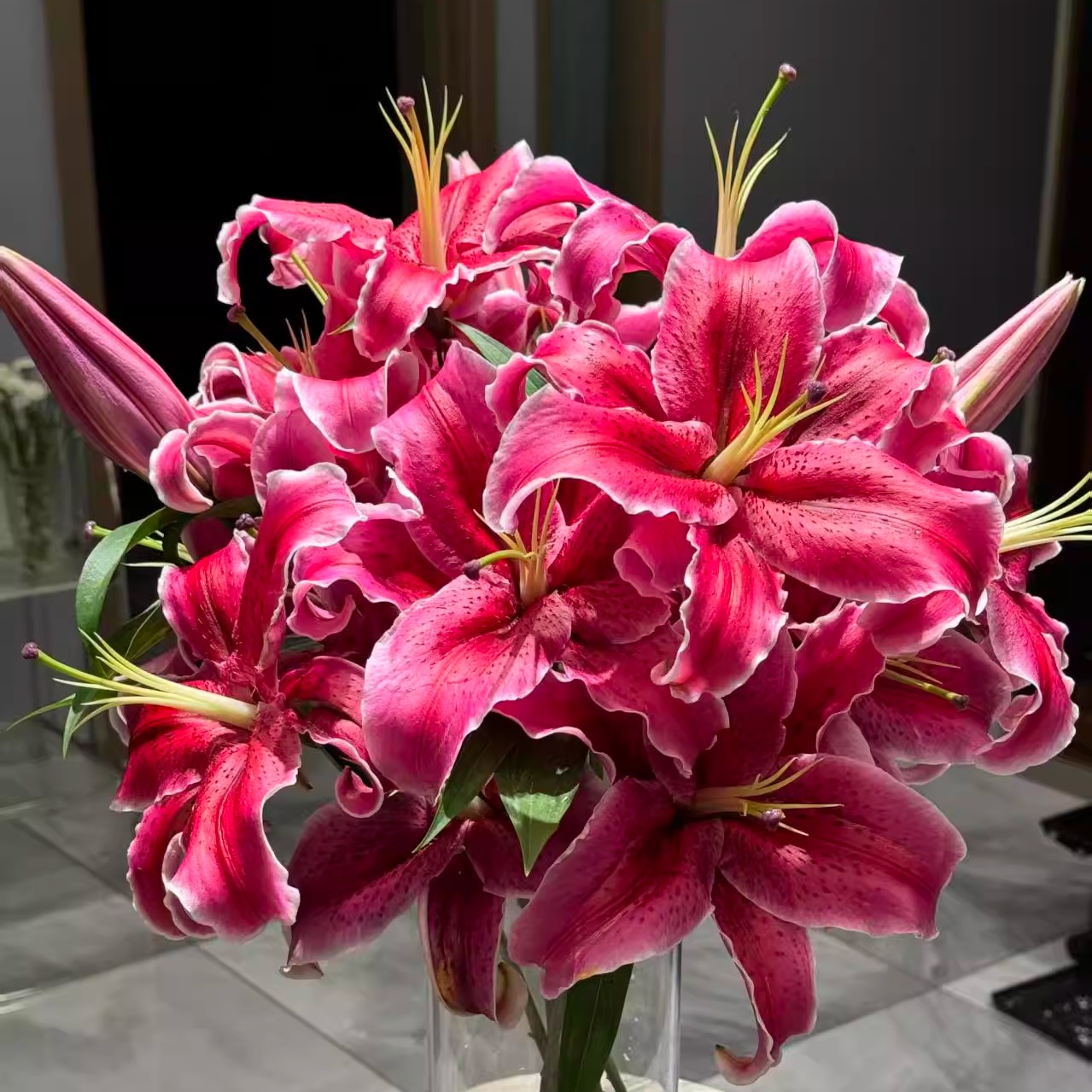 【云舍精选】黑美人单瓣香水百合  任意组合两单或以上冷链包邮