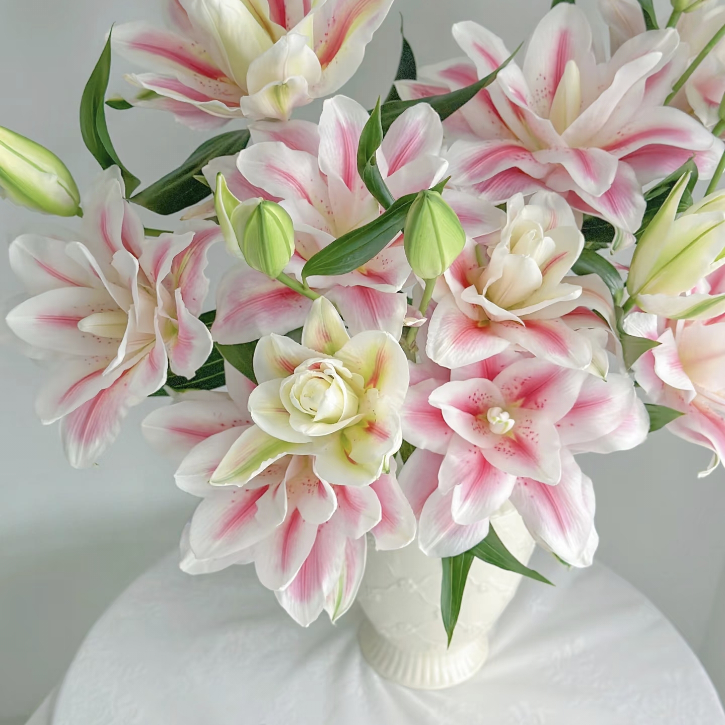 【云舍稀有新品】火星之约重瓣百合  任意组合2单或以上冷链包邮