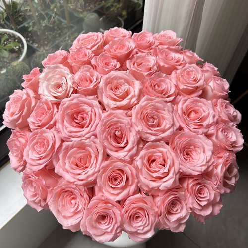 【云舍臻选】戴安娜单头玫瑰  任意组合2单或以上冷链包邮