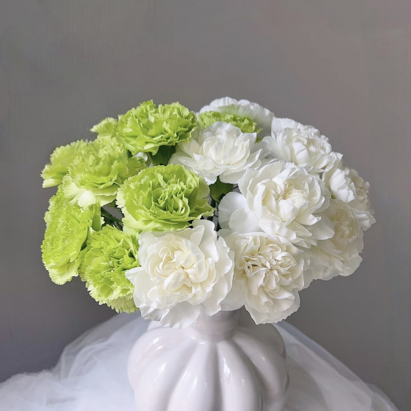 【云舍臻选】小清新薄荷冰单头康乃馨鲜花 组合2单或以上冷链包邮