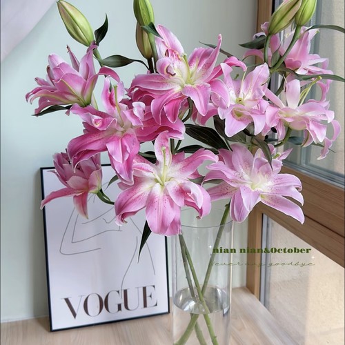 【云舍臻选】【树花】紫莲花重辦百合  组合2单或以上冷链包邮