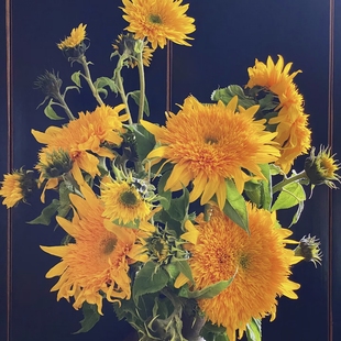 【云舍臻选】油画泰迪向日葵鲜花 2单及以上冷链包邮