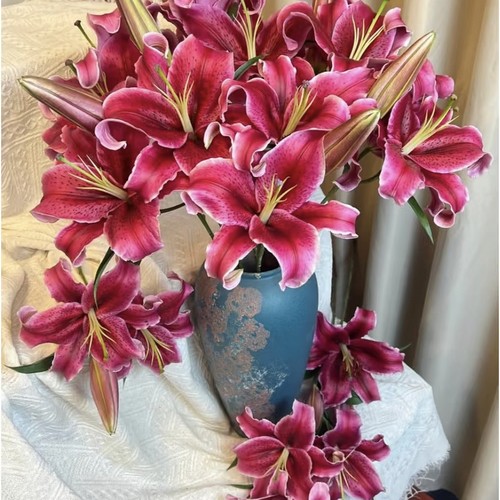 【云舍臻选】【树花】黑美人单瓣香水百合  两单或以上冷链包邮