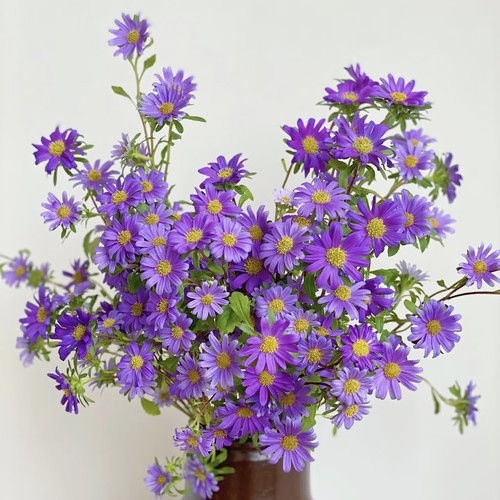 云舍臻选】百搭草花【紫色迷你菊】 2单或以上冷链包邮