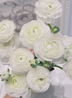 【百搭草花】白色【洋牡丹】一扎任意组合两单或以上顺丰冷链包邮