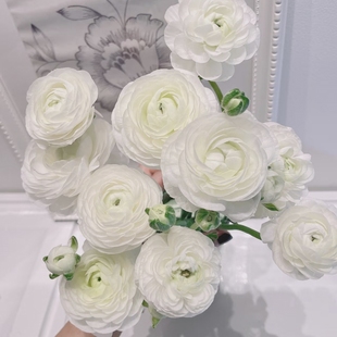 一扎任意组合两单或以上顺丰冷链 洋牡丹 白色 包邮 百搭草花