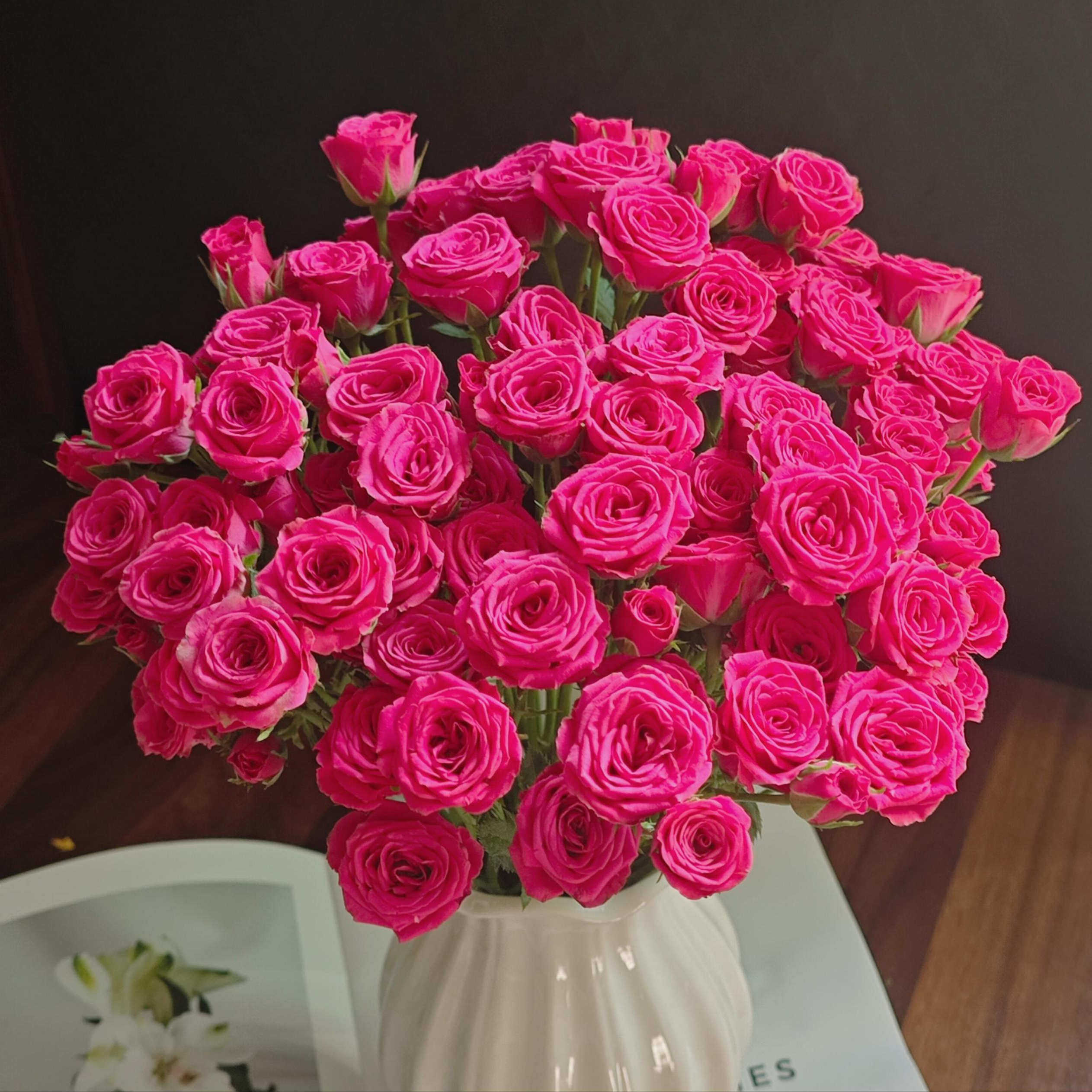 【稀有新品】粉红溜溜球多头玫瑰  任意组合2单或以上冷链包邮