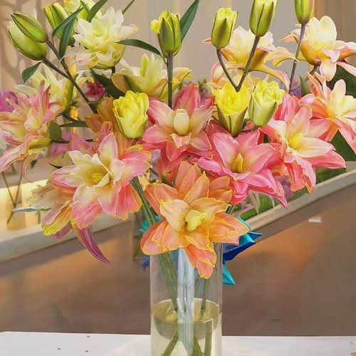 【云舍新品】稀有秋风之约重瓣百合组合2单或以上包邮