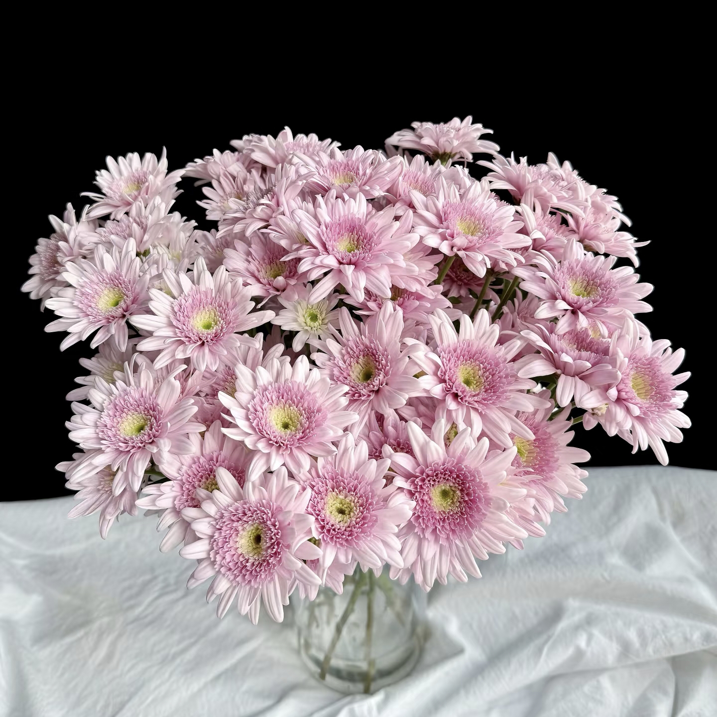 弥勒粉小菊一扎2单或以上包邮