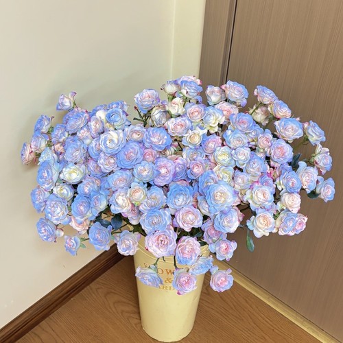 【云舍臻选】喷色碎冰蓝折射多头玫瑰鲜花 任意组合2单以上
