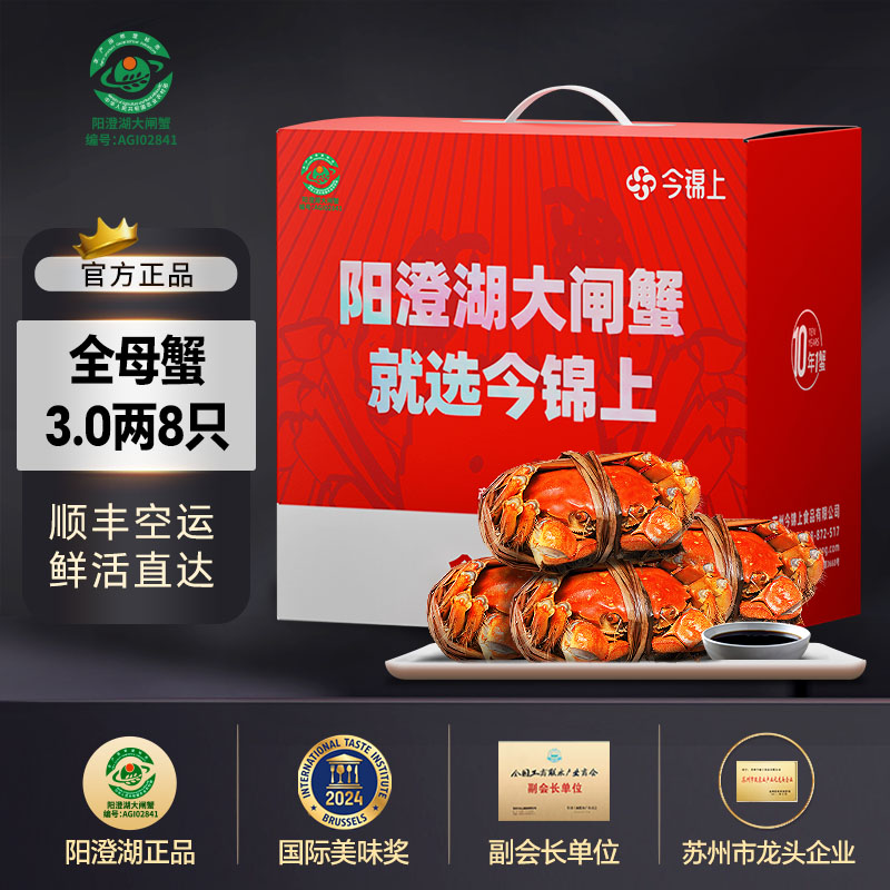 今锦上8只阳澄湖大闸蟹