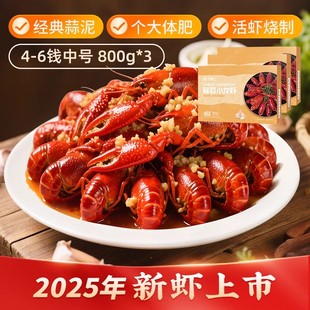 3盒加热即食整虾批发 25年新虾中号麻辣蒜蓉小龙虾800g 今锦上