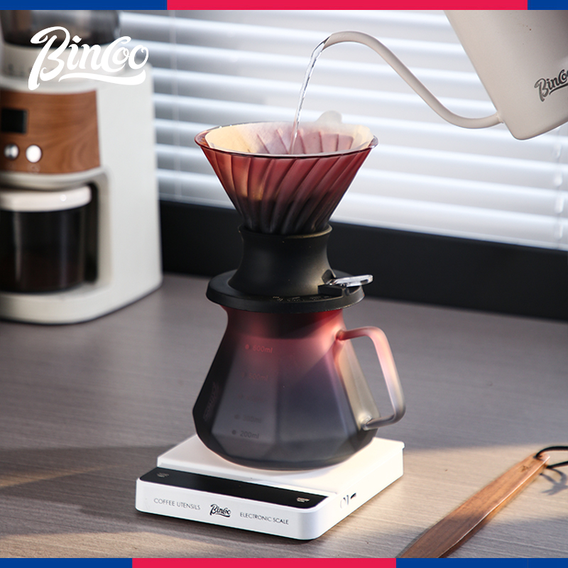 Bincoo手冲咖啡滤杯聪明杯v60过滤器玻璃分享壶浸泡滴滤器具套装