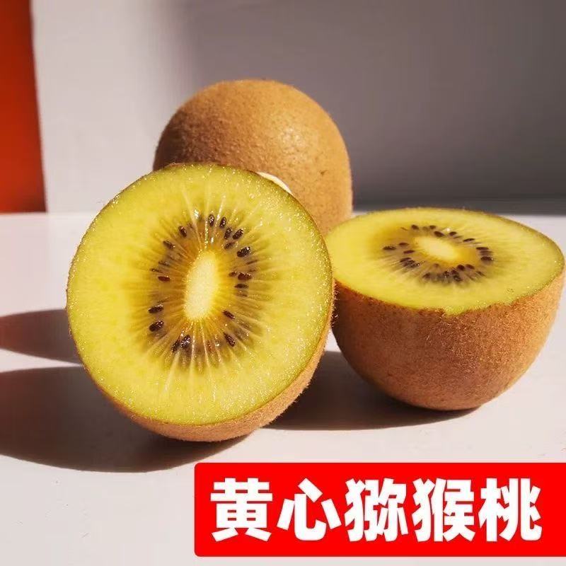 脆甜黄心猕猴桃树苗盆栽地栽南方北方种植猕猴桃苖当年结果嫁接苗