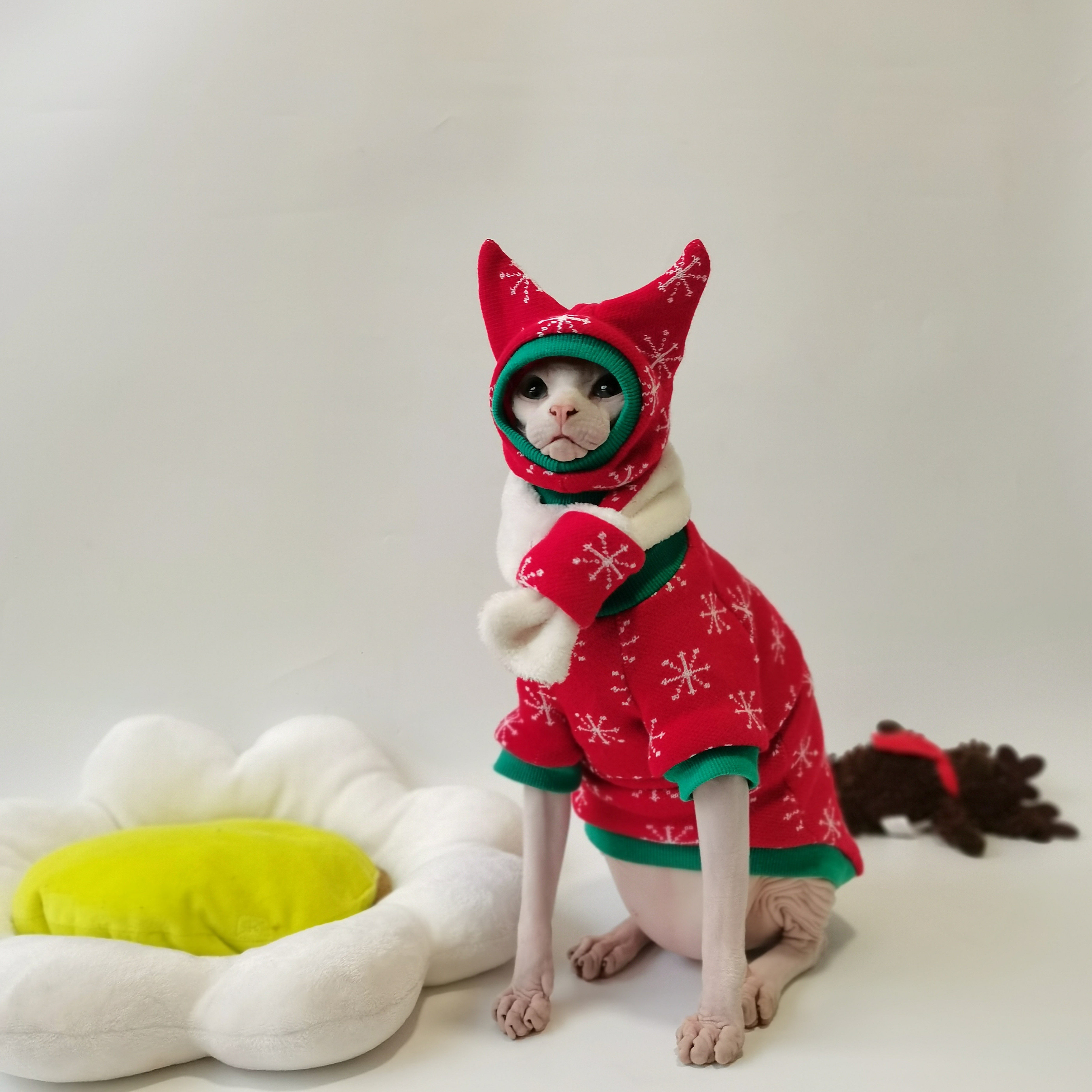 圣诞款雪花毛衣套装无毛猫斯芬克斯德文衣服保暖毛衣送围巾