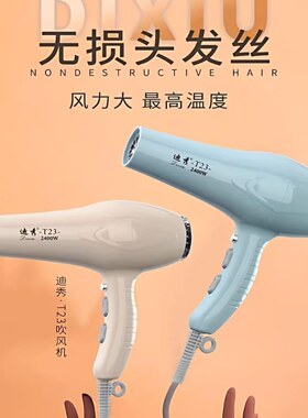 迪秀T23大功率速干吹风机