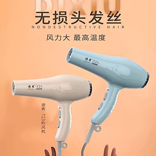 迪秀T23吹风机2400大风力静音吹风筒发型师发廊专用大功率吹风机