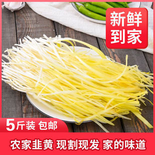 新鲜韭黄贵州特产农家自种新鲜普定韭黄韭菜蒜黄仡蓁精品蔬菜5斤