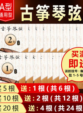 笙玥记古筝琴弦A型初学专业者单根163cm标准通用1-10、1-21号套装