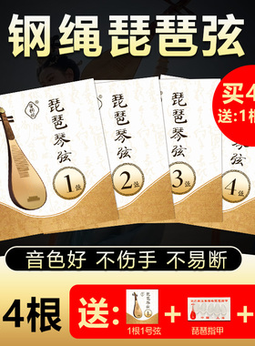 笙玥记钢绳琵琶弦1-4号全套单根弦初学成人专业儿童通用琵琶琴弦