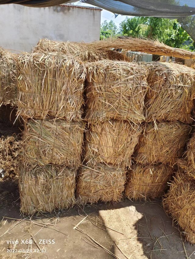 稻草躲尺寸联系客服，尺寸齐全，