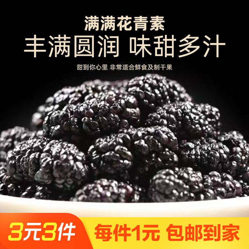【爆品】桑葚干桑甚新疆桑椹茶黑桑葚子优选即食桑椹干免洗泡水喝