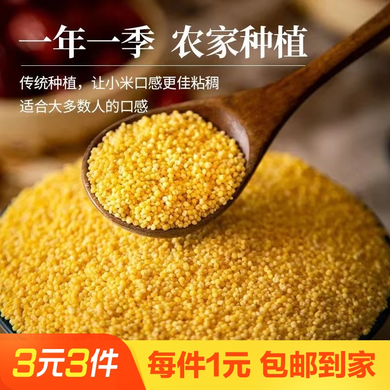 赤峰黄小米新黄小米孕妇月子宝宝小米粥五谷杂粮小黄米