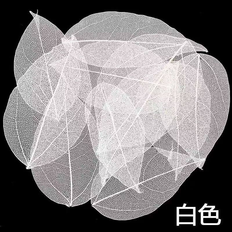 真树叶叶脉书签金刚叶脉天然真树叶脉书签手工diy相框装饰壁画工