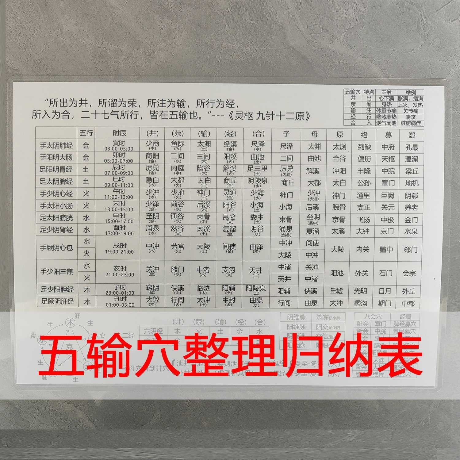 A4塑封针灸入门五腧穴位图装饰画倪海厦针灸大成五输穴表格装饰画